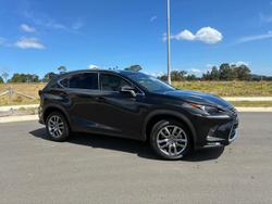 2017 Lexus
                NX 300 Luxury
