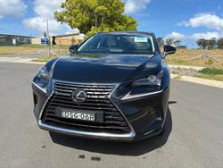 2017 Lexus
                NX 300 Luxury
