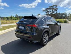 2017 Lexus
                NX 300 Luxury