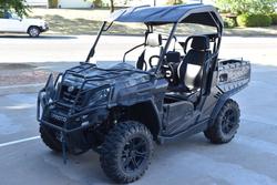 2021 CFMOTO UFORCE 800 EPS CAMO LE Camo/Green