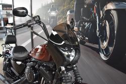 2019 Harley-davidson XL1200NS IRON 1200