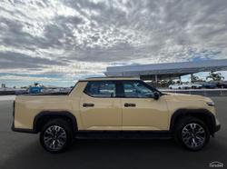 2025 LDV Terron 9 Evolve