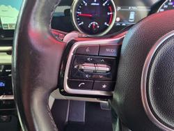 2021 Kia
                Carnival Platinum