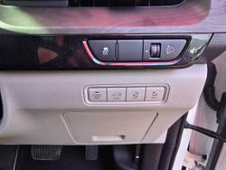 2021 Kia
                Carnival Platinum