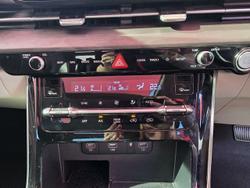 2021 Kia
                Carnival Platinum