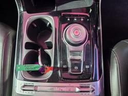 2021 Kia
                Carnival Platinum