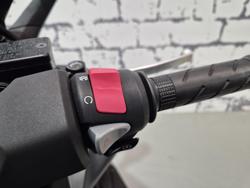 2022 Honda Forza 350 (NSS350) Forza Grey