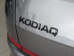2024 SKODA Kodiaq RS NS MY24 4X4 Grey