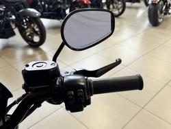 2017 Harley-davidson XL883N IRON 883 BROWN