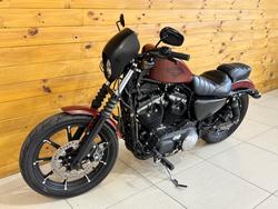 2017 Harley-davidson XL883N IRON 883 BROWN
