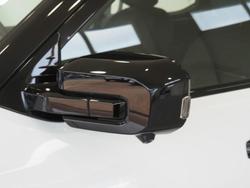 2025 LDV Terron 9 Evolve