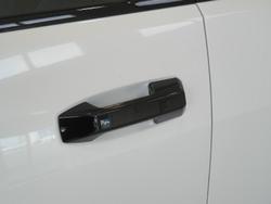 2025 LDV Terron 9 Evolve