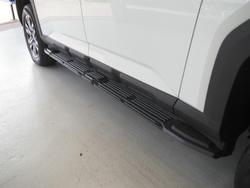 2025 LDV Terron 9 Evolve