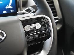 2025 LDV Terron 9 Evolve