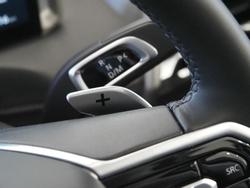 2025 LDV Terron 9 Evolve