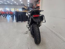 2023 Triumph TIGER 900 GT PRO White