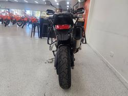 2023 Triumph TIGER 900 GT PRO White