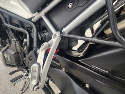 2023 Triumph TIGER 900 GT PRO White