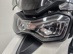 2023 Triumph TIGER 900 GT PRO White