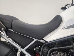 2023 Triumph TIGER 900 GT PRO White