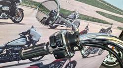 2009 Harley-davidson FXSTC SOFTAIL CUSTOM Black