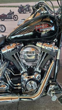 2009 Harley-davidson FXSTC SOFTAIL CUSTOM Black