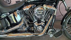 2009 Harley-davidson FXSTC SOFTAIL CUSTOM Black