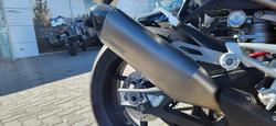 2024 BMW S 1000 R Race S 1000 Grey