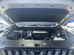 2025 LDV Terron 9 Evolve