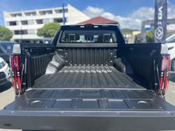 2025 LDV Terron 9 Evolve