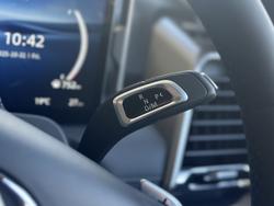 2025 LDV Terron 9 Evolve