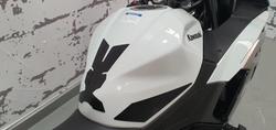 2025 Kawasaki Ninja 500 SE Ninja White