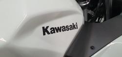 2025 Kawasaki Ninja 500 SE Ninja White