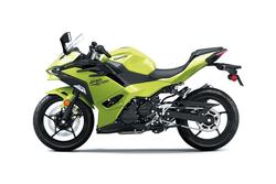 2026 Kawasaki Ninja 500 (EX500G) Ninja Black