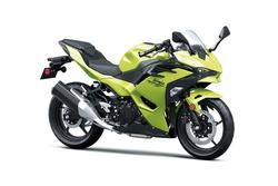 2026 Kawasaki Ninja 500 (EX500G) Ninja Yellow