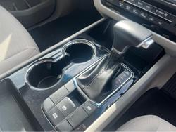 2019 Kia Carnival Si