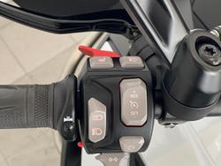 2022 Triumph Tiger 1200 Rally Explorer Tiger White