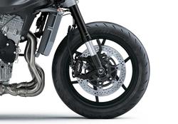 2025 Kawasaki Ninja ZX-6R ABS (636) Ninja Black