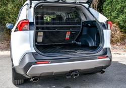 2021 Toyota RAV4 Cruiser