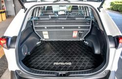 2021 Toyota RAV4 Cruiser