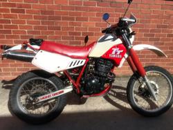 1987 Yamaha
TT350