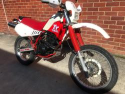 1987 Yamaha
TT350