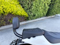 2022 HARLEY-DAVIDSON RH1250S SPORTSTER S white