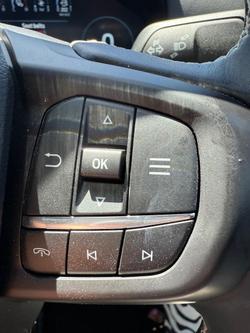 2025 Ford Everest Platinum