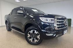 2022 GWM Ute Cannon-X