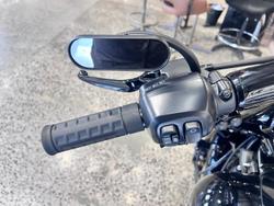2025 Harley-Davidson Fat Boy 117 (FLFB) Softail Black
