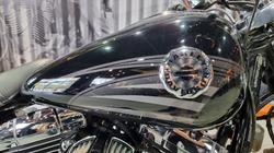 2017 Harley-davidson FXSB SOFTAIL BREAKOUT Black