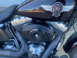 2014 HARLEY-DAVIDSON FLSTF FAT BOY Purple