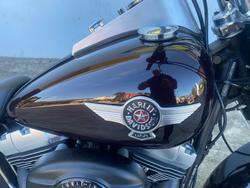 2014 HARLEY-DAVIDSON FLSTF FAT BOY Purple