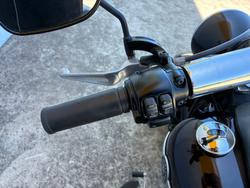 2014 HARLEY-DAVIDSON FLSTF FAT BOY Purple